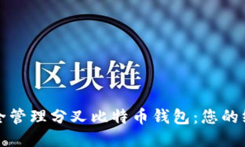 如何安全管理分叉比特币钱包:您的终极指南