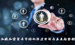 新加坡加密货币市场的深度分析与未来趋势探讨