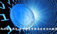 无密码比特币钱包：如何安全管理与使用你的数