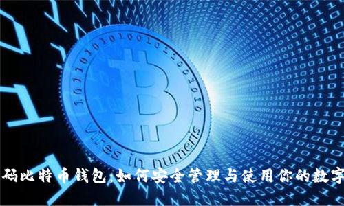无密码比特币钱包:如何安全管理与使用你的数字资产