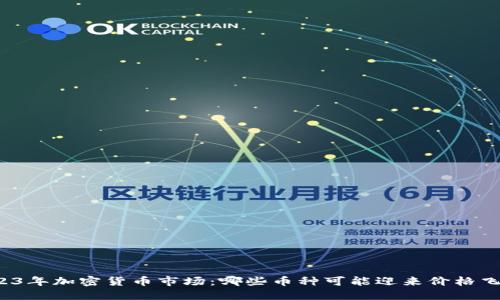 2023年加密货币市场:哪些币种可能迎来价格飞跃?