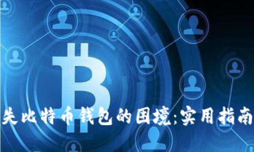 如何处理丢失比特币钱包的困境:实用指南与应对策略