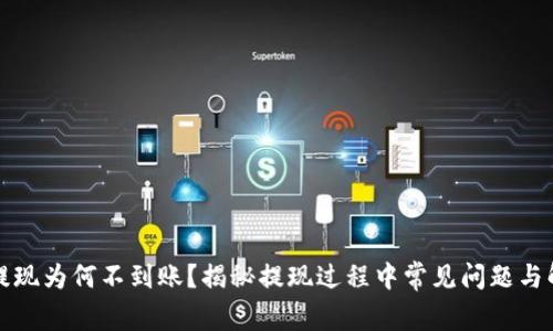 比特币提现为何不到账?揭秘提现过程中常见问题与解决方案