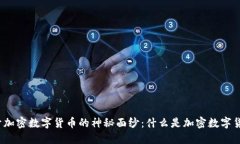 揭开加密数字货币的神秘面纱：什么是加密数字