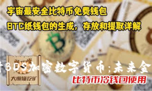深入探讨BDS加密数字货币：未来金融的新星
