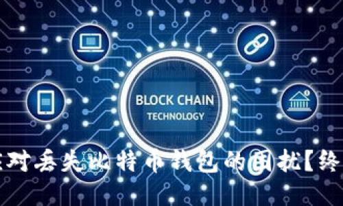 如何应对丢失比特币钱包的困扰？终极指南