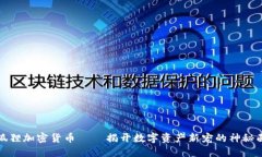 小狐狸加密货币 – 揭开数字资产新宠的神秘面纱