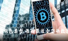 深入了解比特币钱包类型：选择最适合你的数字