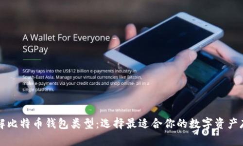 深入了解比特币钱包类型：选择最适合你的数字资产存储方案