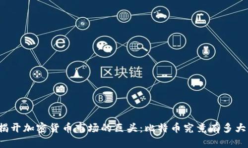 揭开加密货币市场的巨头：比特币究竟有多大？