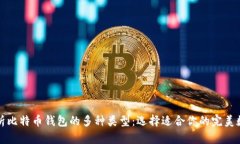 全面解析比特币钱包的多种类型：选择适合你的
