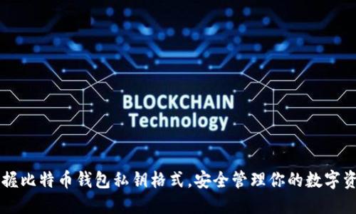 掌握比特币钱包私钥格式，安全管理你的数字资产