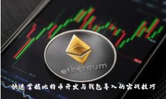快速掌握比特币开发与钱包导入的实战技巧