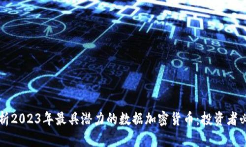 深入剖析2023年最具潜力的数据加密货币：投资者必读指南