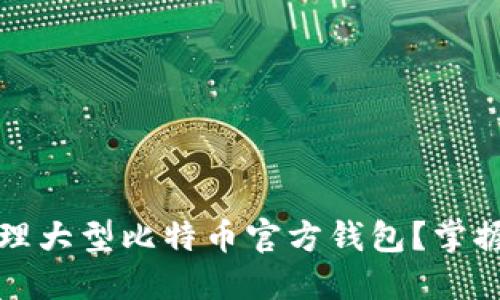 如何高效管理大型比特币官方钱包？掌握策略与技巧