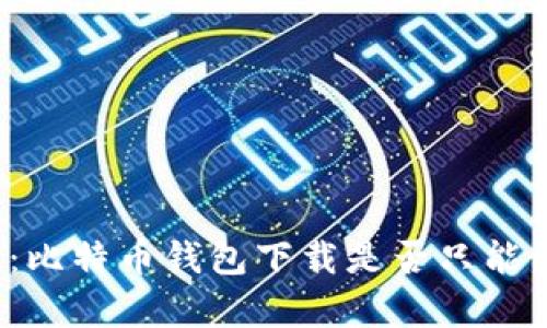 全面解析：比特币钱包下载是否只能使用英文？