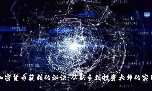 揭秘加密货币获利的秘诀：从新手到投资大师的实用指南