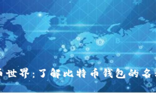 畅游数字货币世界:了解比特币钱包的名称与选择风向