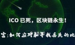 失落的财富：如何应对和寻找丢失的比特币钱包
