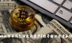 如何找回比特币钱包消失的资产？探寻解决方案