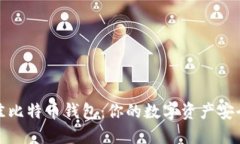 选择最佳比特币钱包：你的数字资产安全守护者