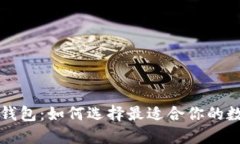 深入探讨比特币钱包：如何选择最适合你的数字