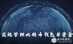 如何高效管理比特币钱包并资金使用