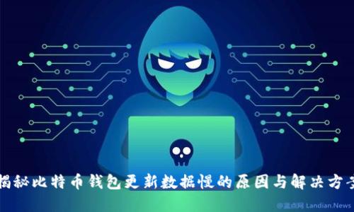 揭秘比特币钱包更新数据慢的原因与解决方案