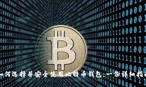如何选择并安全使用比特币钱包:一份详细指南