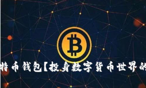 谁在维护比特币钱包?投身数字货币世界的那些人和事