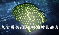 比特币钱包公司倒闭？及时应对策略与安全保障