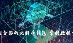 如何选择适合你的比特币钱包：掌握数据量及安