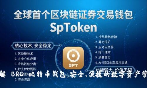 全面了解 BRD 比特币钱包:安全、便捷的数字资产管理之选