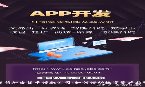 全面解析加密货币借款公司：如何借助数字资产获取资金