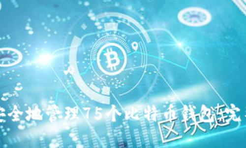 如何安全地管理75个比特币钱包：完整指南