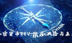 揭秘加密货币REV：潜力、风险与未来发展