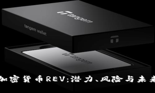 揭秘加密货币REV：潜力、风险与未来发展