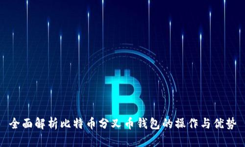 全面解析比特币分叉币钱包的操作与优势