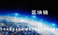沙特加密货币现状：探索中东金融变革的前沿
