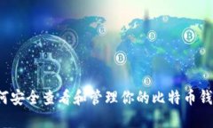 如何安全查看和管理你的比特币钱包？