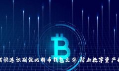如何快速识别假比特币钱包文件，防止数字资产