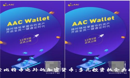 探索比特币之外的加密货币：多元投资机会大揭秘
