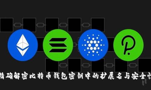精确解密比特币钱包密钥中的扩展名与安全性