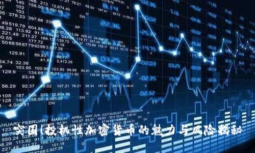突围!投机性加密货币的魅力与风险揭秘