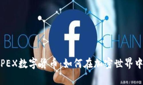 深入探讨JPEX数字货币:如何在加密世界中乘风破浪?