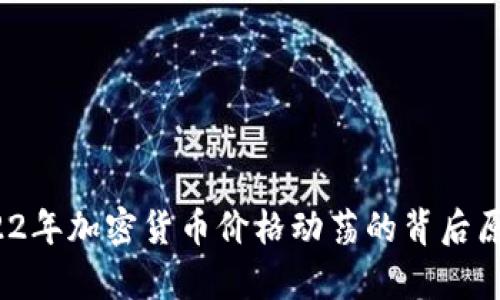 深入分析:2022年加密货币价格动荡的背后原因及未来展望