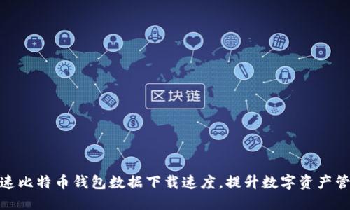 如何加速比特币钱包数据下载速度,提升数字资产管理体验