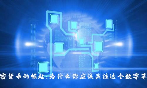 加密货币的崛起：为什么你应该关注这个数字革命